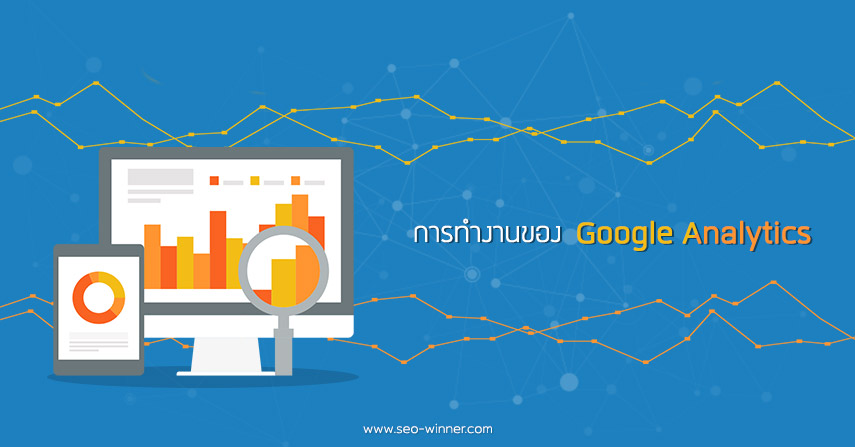 การทำงานของ Google Analytics by seo-winner.com