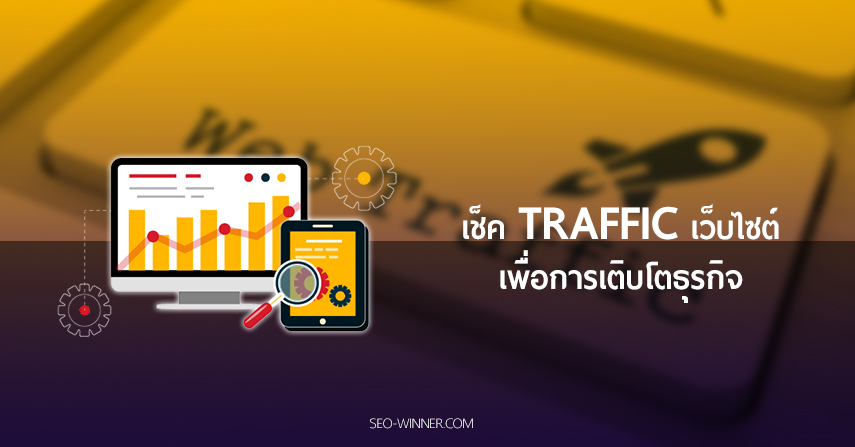 เช็ค Traffic เว็บไซต์ เพื่อการเติบโตธุรกิจ by seo-winner.com
