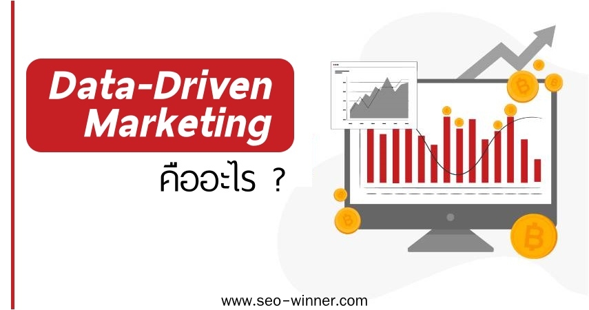Data-Driven Marketing คืออะไร ? by seo-winner.com