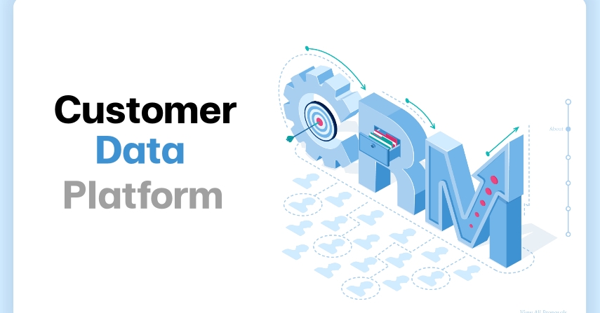 Customer Data Platform by seo-winner.com